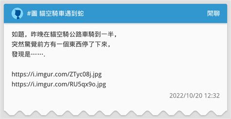 騎車遇到蛇代表什麼|【騎車遇到蛇代表什麼】騎車驚見蛇？注意這些預兆和應對建議